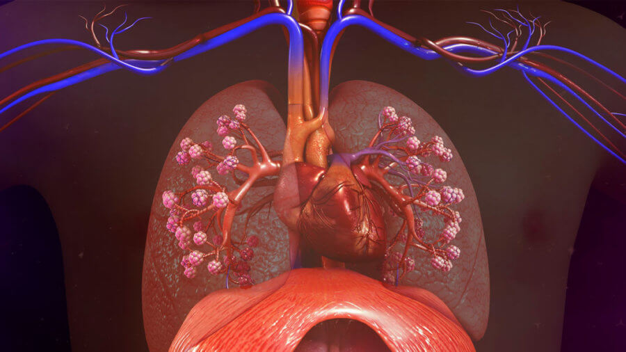 Chest-TB
